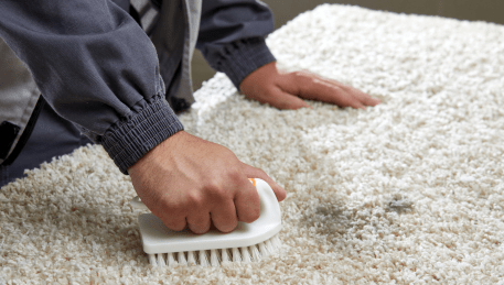 Professional Rug Cleaning Watergardens